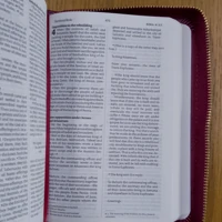 NIV Pocket Mulberry Bible with Gold Zip