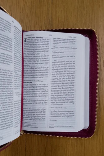 NIV Pocket Mulberry Bible with Gold Zip