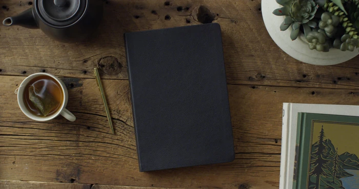 ESV Giant Print Value Thinline Bible
