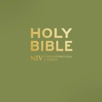 NIV Pocket Olive Green Bible with Gold Zip