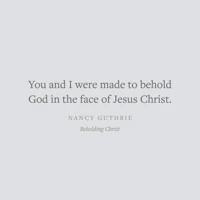 Beholding Christ