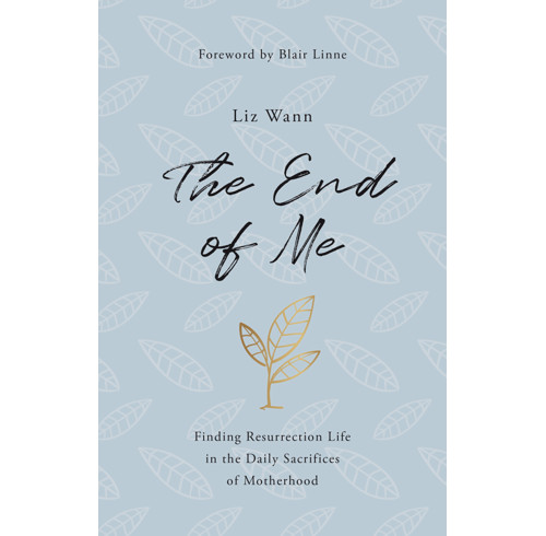 The End of Me (ebook)