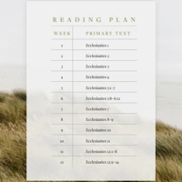 Ecclesiastes: Chasing the Wind (Verse by Verse)