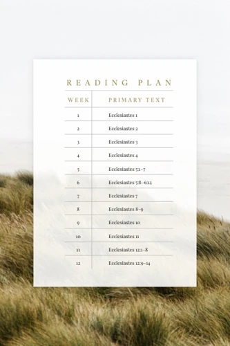 Ecclesiastes: Chasing the Wind (Verse by Verse)