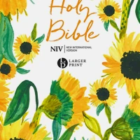 NIV Larger Print Soft-tone Bible