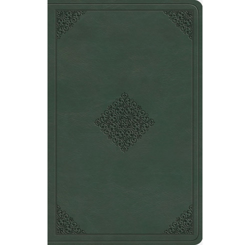 ESV Large Print Value Thinline Bible (Quiet Forest)