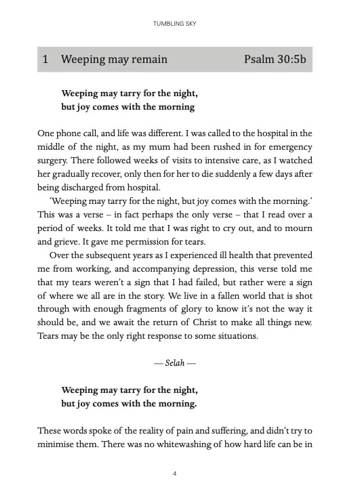 Tumbling Sky (Paperback, Revised)