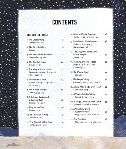 The Kingdom and the King Storybook Bible