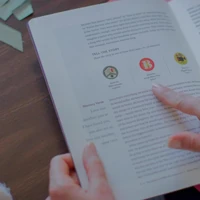 The Biggest Story Curriculum, Easter Lessons