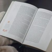 ESV GraceLaced Bible, TruTone