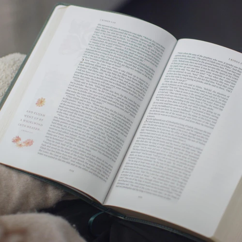 ESV GraceLaced Bible, TruTone
