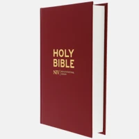NIV Popular Burgundy Hardback Bible