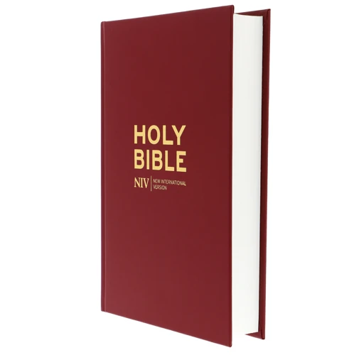 NIV Popular Burgundy Hardback Bible