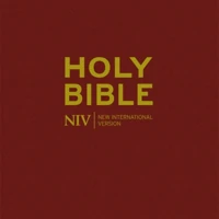 NIV Popular Burgundy Hardback Bible