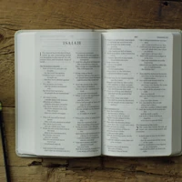 ESV Large Print Value Thinline Bible (River Stone)
