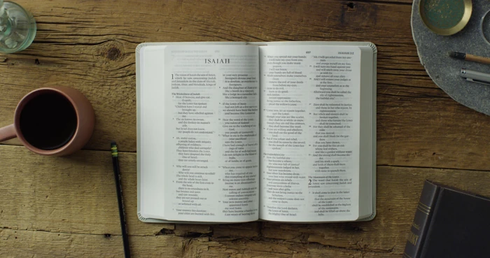 ESV Large Print Value Thinline Bible (River Stone)