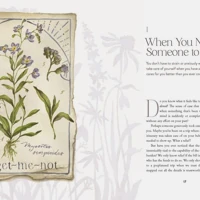 The Way of the Wildflower
