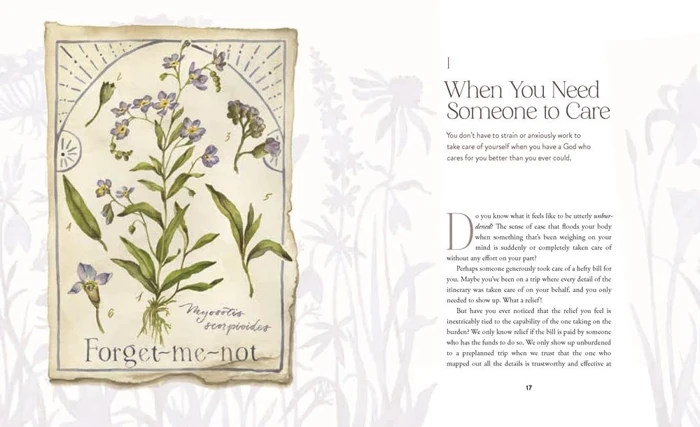 The Way of the Wildflower