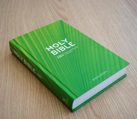 NIV Schools Hardback Bible