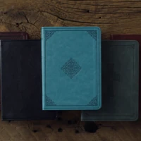 ESV Large Print Value Compact Bible