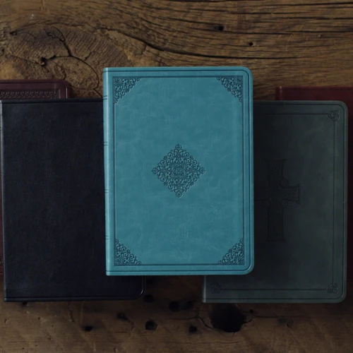 ESV Large Print Value Compact Bible