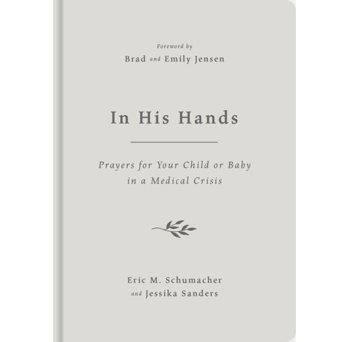 In His Hands (ebook)