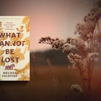 What Cannot Be Lost (ebook)