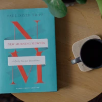 New Morning Mercies - Large Print Edition