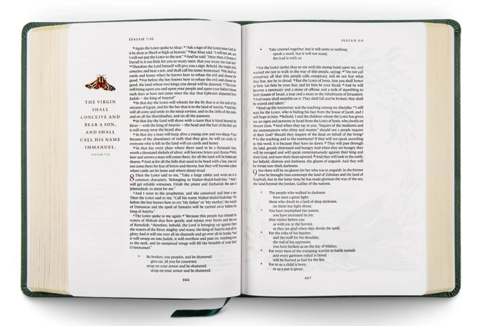 ESV GraceLaced Bible, TruTone