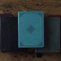 ESV Large Print Value Compact Bible