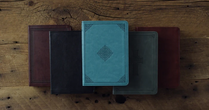 ESV Large Print Value Compact Bible