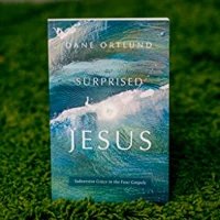 Surprised by Jesus