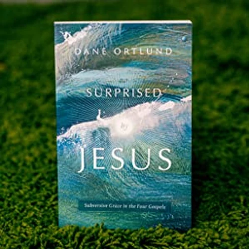 Surprised by Jesus