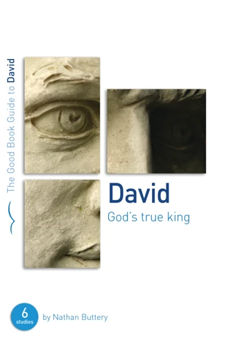 David: God's True King (ebook)