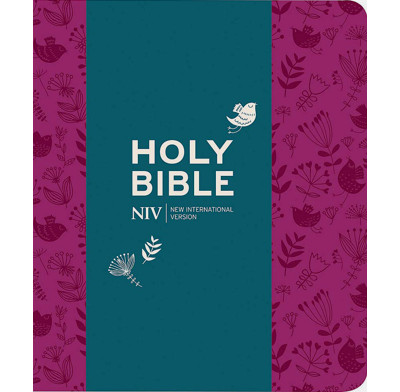 NIV Journalling Plum Soft-tone Bible with Clasp (New Edition)