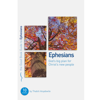 Ephesians: God's Big Plan for Christ's New People (ebook)