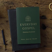 Everyday Gospel Christmas Devotional