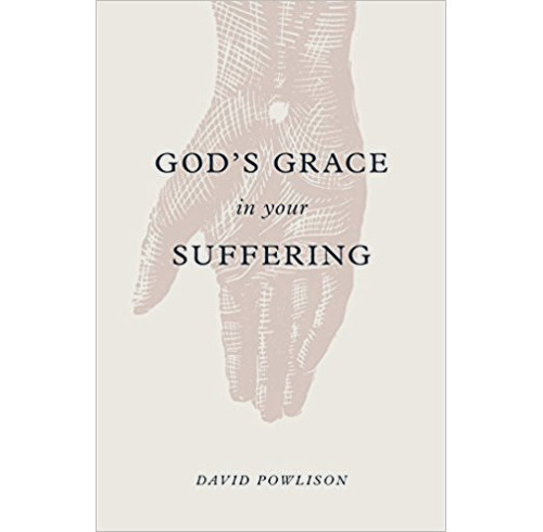 God's Grace in Your Suffering