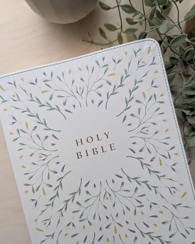 NLT Wide Margin Bible, Filament Enabled