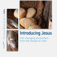 John: Introducing Jesus (ebook)
