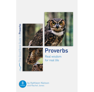 Proverbs: Real Wisdom for Real Life (ebook)