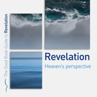 Revelation: Heaven's perspective (ebook)