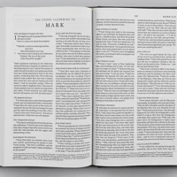 ESV Church Bible, Anglicised Edition