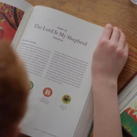 The Biggest Story Curriculum, Student Workbook