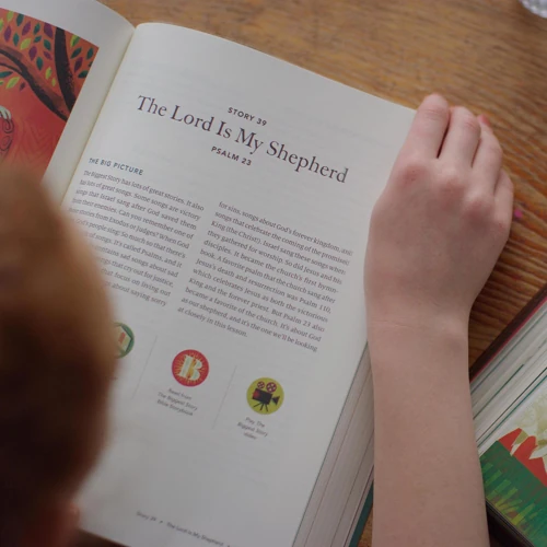 The Biggest Story Curriculum, Student Workbook