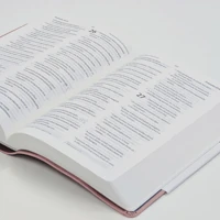 NLT Holy Bible (Pink)