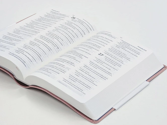 NLT Holy Bible (Pink)