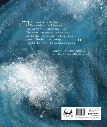 The Storm That Stopped Storybook (ebook)