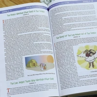 NIrV, The Illustrated Holy Bible for Kids