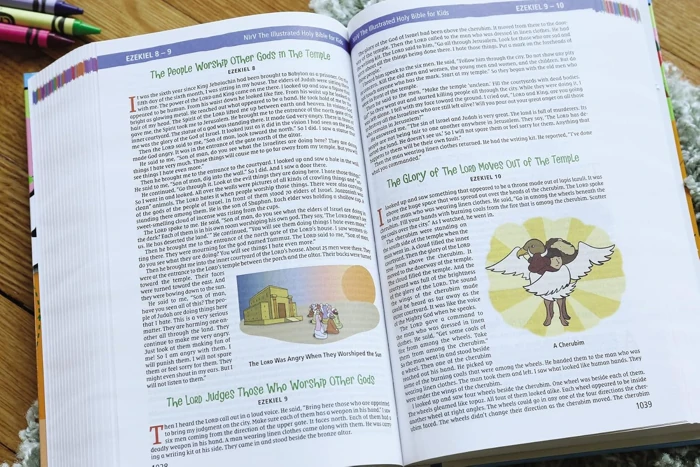 NIrV, The Illustrated Holy Bible for Kids